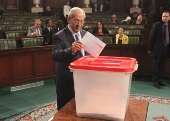 Cour constitutionnelle : Majorit&eacute; des voix pour Raoudha Ouersghini
