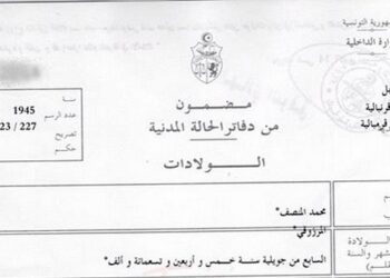 Tunisie : L'extrait de naissance en ligne... envoy&eacute; par voie postale !