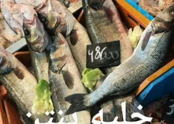 Prix "exorbitants", des Tunisiens appellent au boycott des produits de la mer