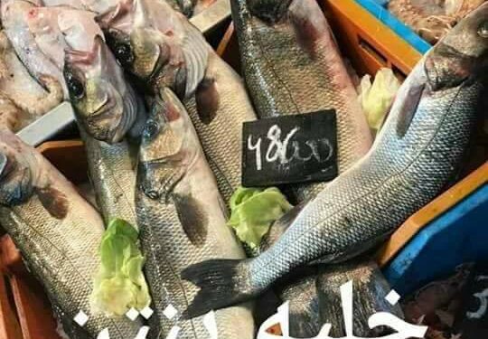 Prix "exorbitants", des Tunisiens appellent au boycott des produits de la mer