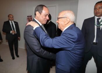 Caid Essebsi s&rsquo;entretient avec Al-Sissi