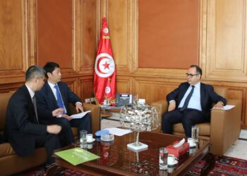 Les Chinois s'activent pour le projet du p&ocirc;le &eacute;conomique de Zarzis