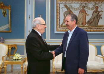 La crise de l'enseignement au c&oelig;ur d'une rencontre Ca&iuml;d Essebsi-Taboubi