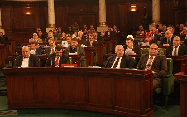 Chroniques des années de cendre : Assemblée de la transition politique