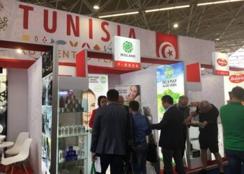 L'aloe vera biologique tunisienne se d&eacute;marque aux Pays-Bas