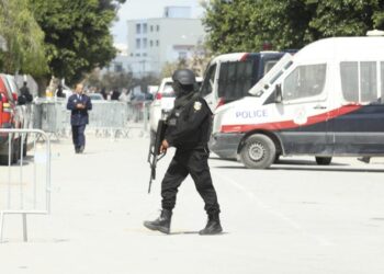 Haykel Sa&iuml;dani, impliqu&eacute; dans les attaques du Bardo et Ben Guerdane, extrad&eacute; en Tunisie