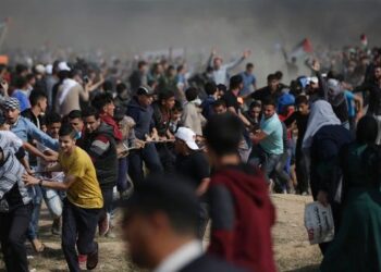 Palestine : La Tunisie appelle la communauté internationale à intervenir