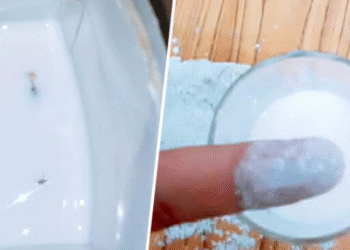Kairouan : Des &eacute;tudiants intoxiqu&eacute;s par du lait