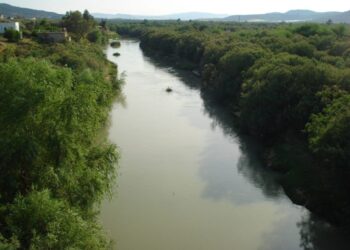 Sa source se trouve en Algérie : Que savons-nous de la Medjerda ?