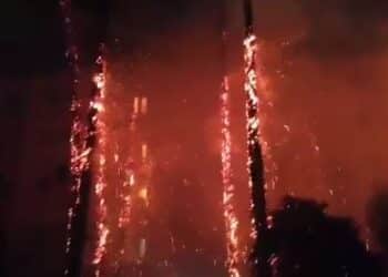 Cit&eacute; El Khadhra : Les arbres d'une r&eacute;sidence d&eacute;cim&eacute;s par le feu