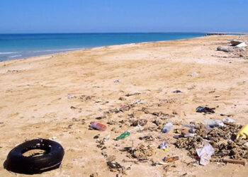 Pour la deuxi&egrave;me ann&eacute;e cons&eacute;cutive, aucune plage tunisienne labellis&eacute;e "Pavillon Bleu" !