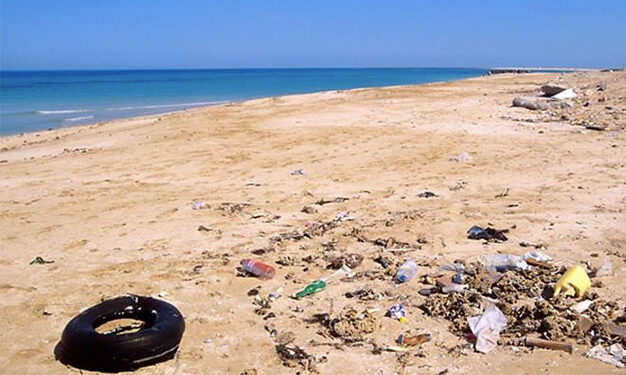 Pour la deuxième année consécutive, aucune plage tunisienne labellisée "Pavillon Bleu" !