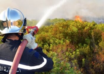 Tunisie : 97 incendies ma&icirc;tris&eacute;s en un jour