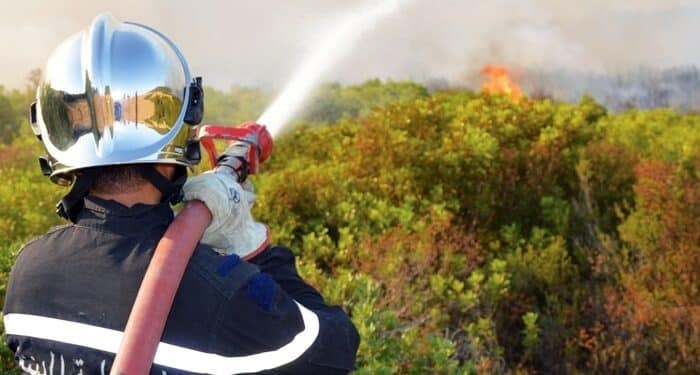 Tunisie : 97 incendies ma&icirc;tris&eacute;s en un jour