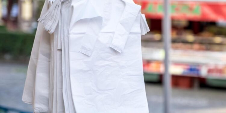 Tunisie : Les sacs en plastique totalement interdits d'ici 2020