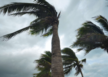 Tunisie-Alerte m&eacute;t&eacute;o : Vent en rafales atteignant 100 km/h !