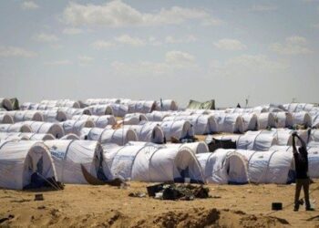 OIM : Plus de 75 mille migrants vivent en Tunisie