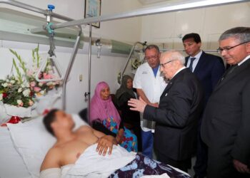 Conseil de S&eacute;curit&eacute; Nationale : "La r&eacute;elle interpr&eacute;tation se fera demain", promet Caid Essebsi