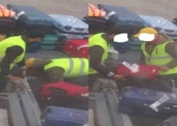 Tunis-Carthage : Une nouvelle cellule douani&egrave;re pour contrer le vol de bagages