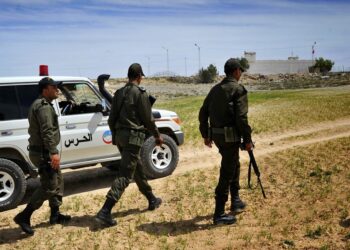 Attaque de Jendouba : Les mitrailleuses vol&eacute;es par les terroristes, retrouv&eacute;es