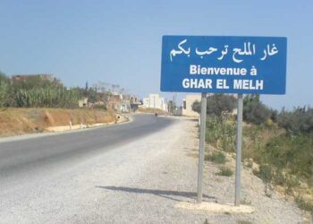 Large op&eacute;ration de contr&ocirc;le &eacute;conomique &agrave; Ghar El Melh