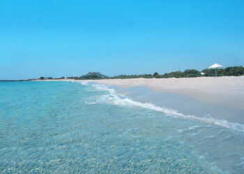 Mnaqaâ, Kef Abbed, Kerkouane : Saurons-nous préserver les plages "vierges" de Tunisie ?