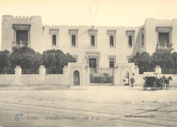 Raphaël Guy : Architecte des Arabisances tunisoises