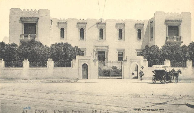 Raphaël Guy : Architecte des Arabisances tunisoises