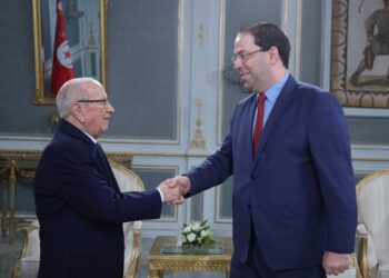 La situation g&eacute;n&eacute;rale du pays au centre d'une rencontre entre Ca&iuml;d Essebsi et Chahed