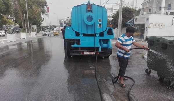 Sidi Bou Said : Campagne exceptionnelle pour combattre les insectes