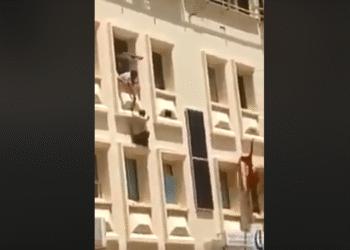 La STEG commente la tentative de suicide de l'un de ses agents