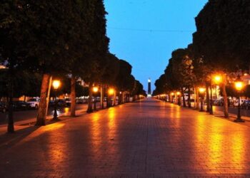 Fermer ou se "taverniser" : Hécatombe pour les restaurants de Tunis