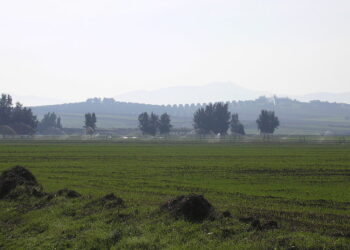 A Bousalem, 120 hectares agricoles deviennent industriels