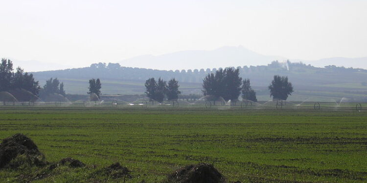 A Bousalem, 120 hectares agricoles deviennent industriels