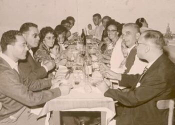 L’amertume des olives noires