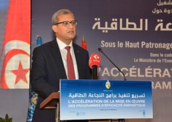 Youssef Chahed limoge le ministre de l'Energie et ouvre une enqu&ecirc;te au sein du d&eacute;partement