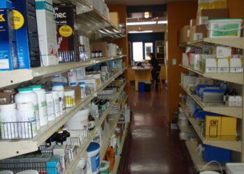 Les m&eacute;dicaments v&eacute;t&eacute;rinaires manquent aussi en Tunisie