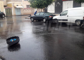 Tunisie : Certaines r&eacute;gions sous une pluie "rafra&icirc;chissante"