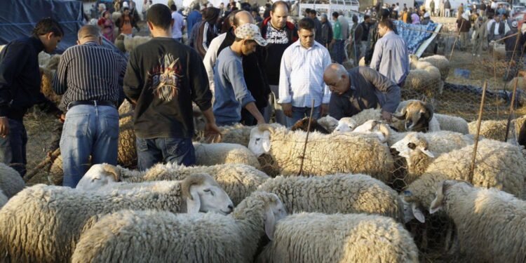 Tunisie : A&iuml;d El Id'ha le 21 ao&ucirc;t
