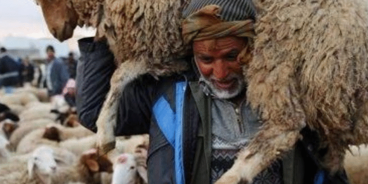 Quand le don du "korban" honore la mémoire de nos défunts