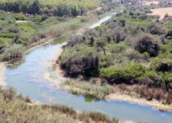 Tunisie : Mesures exceptionnelles pour lutter contre les maladies transmissibles par les eaux