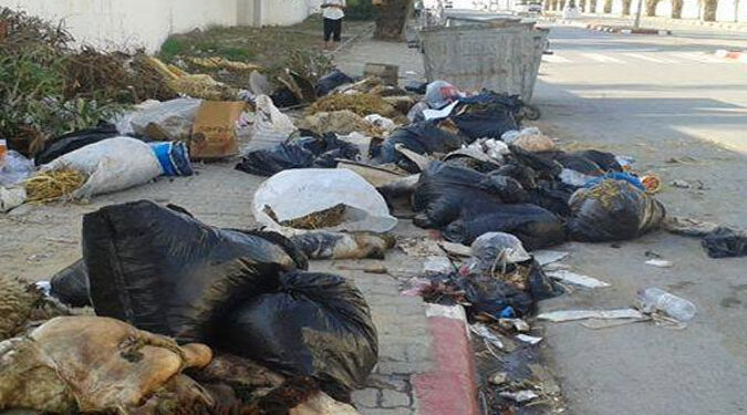Inacceptable : Un million de peaux de mouton finissent à la poubelle