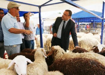 Samir Betta&iuml;eb : "250 dt suffisent pour acheter un mouton"
