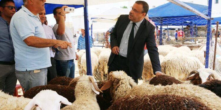 Samir Bettaïeb : "250 dt suffisent pour acheter un mouton"
