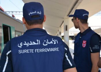 A partir d'aujourd'hui : Des unit&eacute;s de "s&ucirc;ret&eacute; ferroviaire" dans les gares et &agrave; bord des trains