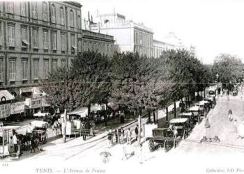 Nostalgies tunisoises : Il était une fois les calèches de l'avenue