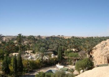 K&eacute;bili : Des Am&eacute;ricains s'int&eacute;ressent aux projets d'am&eacute;nagement des syst&egrave;mes hydrauliques des oasis