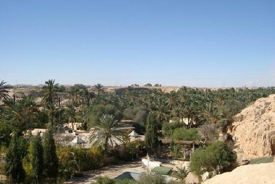 K&eacute;bili : Des Am&eacute;ricains s'int&eacute;ressent aux projets d'am&eacute;nagement des syst&egrave;mes hydrauliques des oasis
