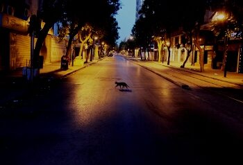 D&eacute;linquante, sale, anarchique et inondable : Tunis est une ville tr&egrave;s malade