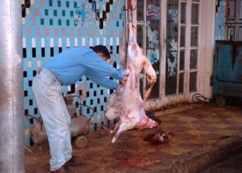 A coup de trompette !